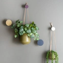 Present Time Portemanteaux Et Patères Lot De 4 Patères Ronds Multicouleur -Meubles d'appoint Soldes lot de 4 pateres ronds multicouleur 1